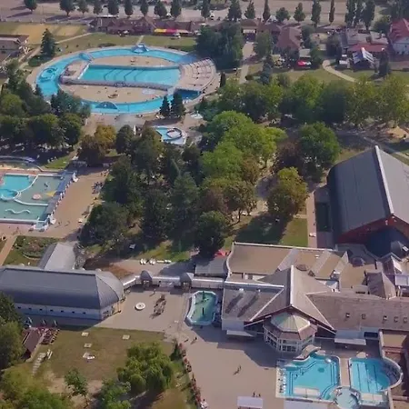 Arinza Vendeghaz * Mezőkövesd