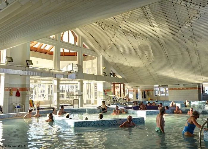 Arinza Vendeghaz דירה *